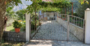 Apartmani Sara